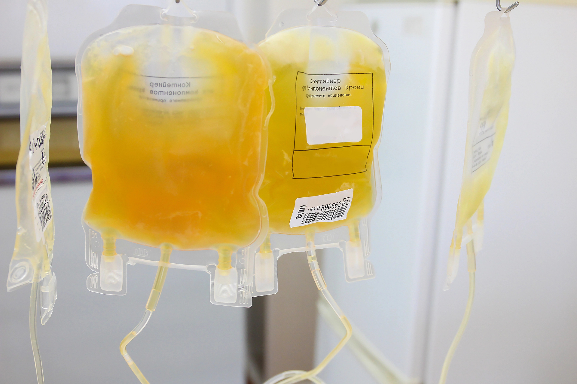 Platelet concentrate studies